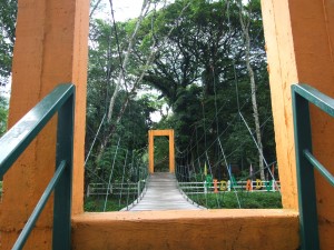 DSCF0317