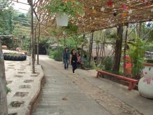DSCF1116