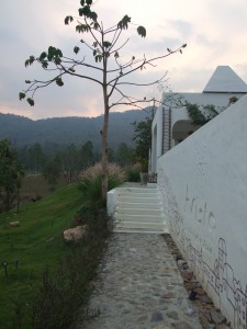 DSCF1151