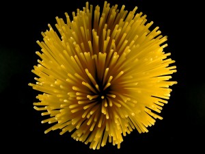 Artistic Pasta XI