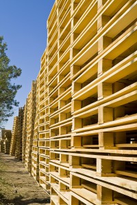 Wooden shipping pallets
